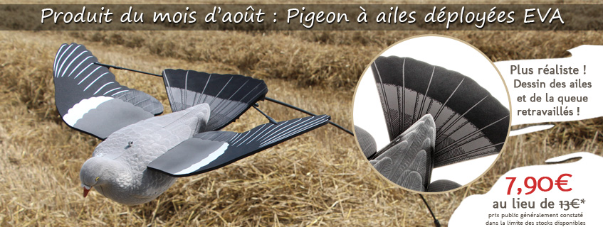 Chasse du pigeon : astuces et conseils pour placer vos blettes