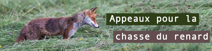 Appeaux renard