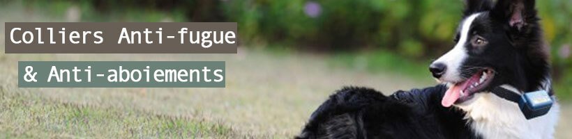 Anti-aboiement, Anti-fugue