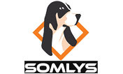 Somlys