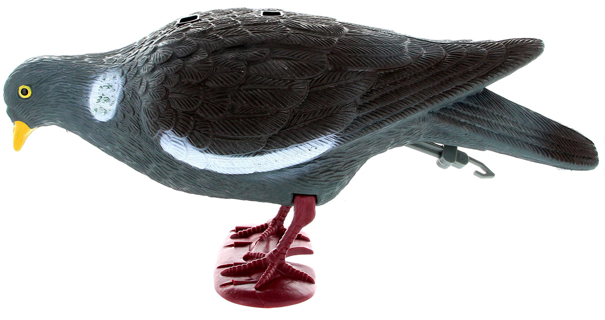 Appelant pigeon avec pattes qui picore - 411