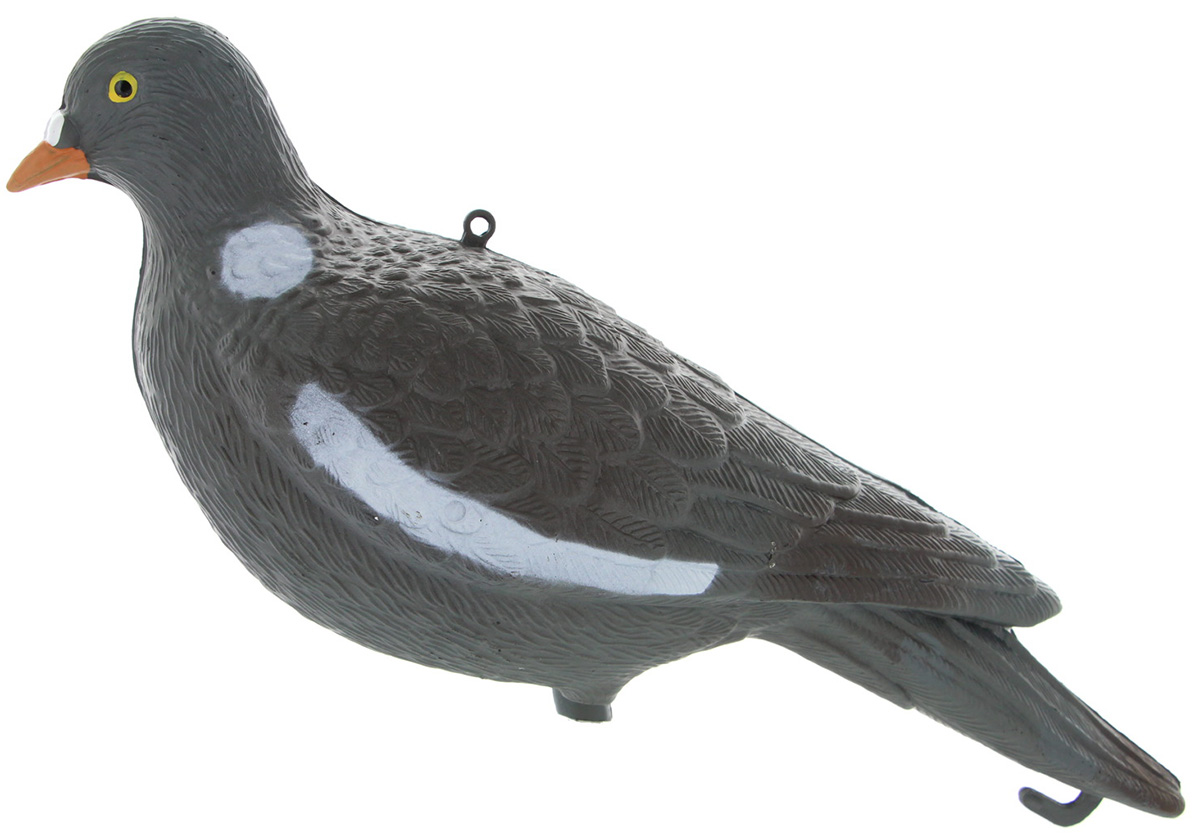 Appelant Pigeon Ramier Sans Pattes 409