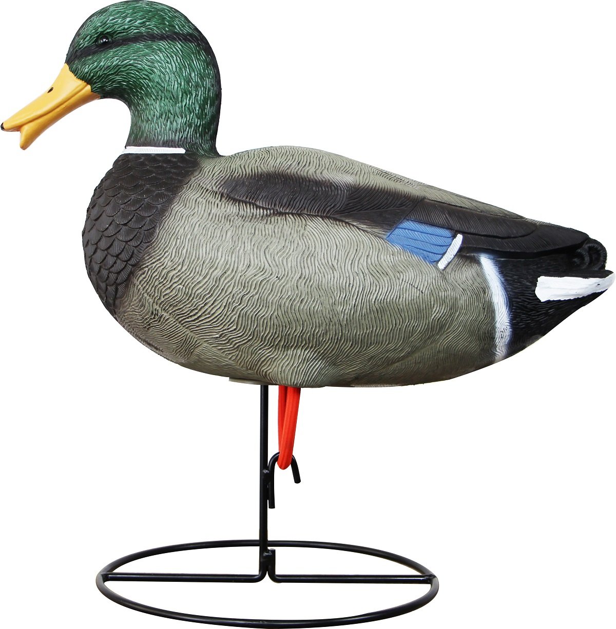 la chasse, tirer, canard, colvert- siffleur , faisan, nature morte