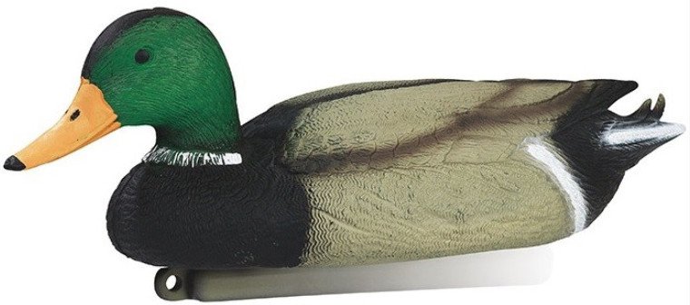 Formes De Canards : Réalistes Et Moussées Pour La Chasse