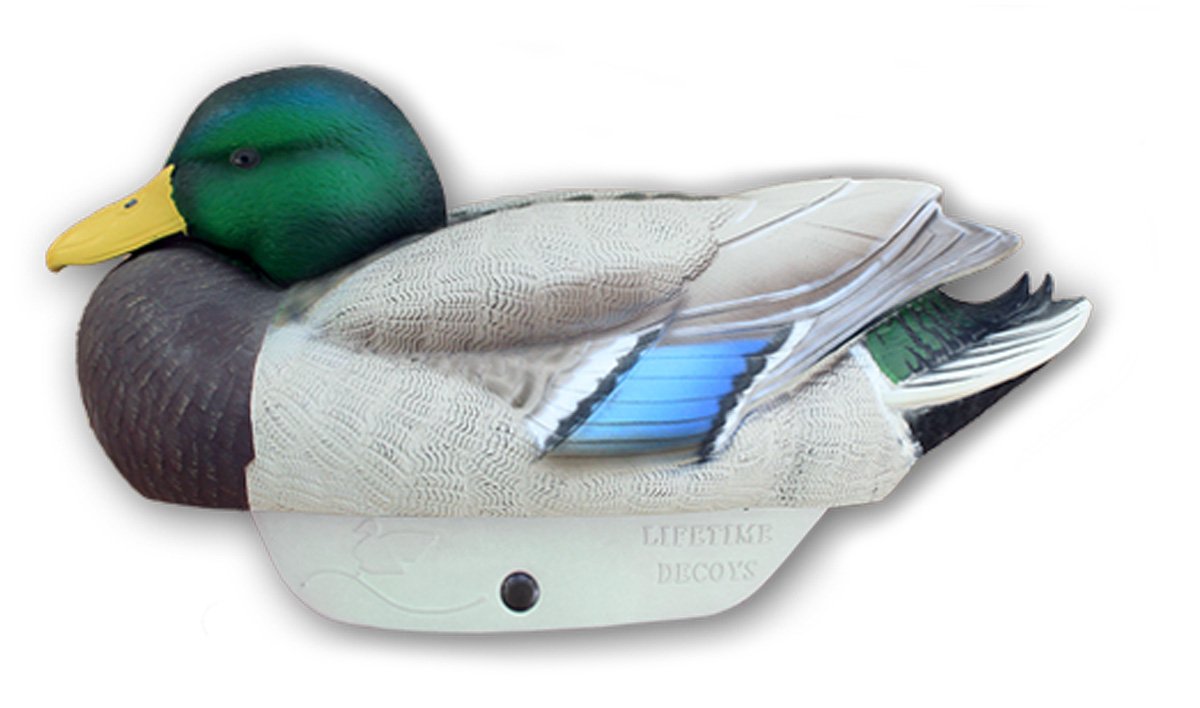 Pack 6 appelants colverts HD insubmersibles Lifetime Decoys 12017