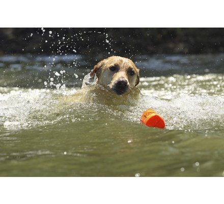 Apportable orange en canva 20 cm pour chiot