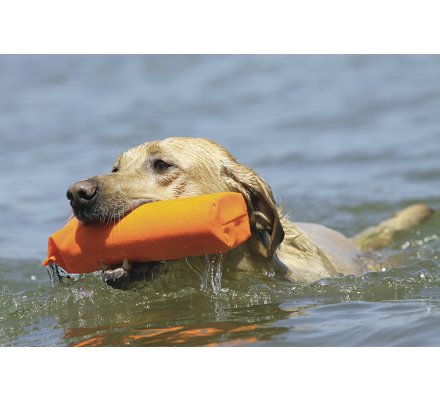 Apportable orange en canva 20 cm pour chiot - 12768