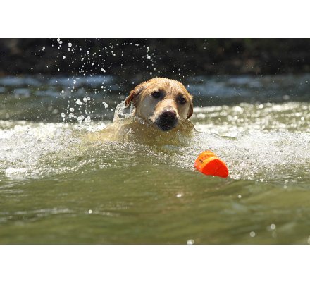 Apportable orange en canva 26 cm pour chien 