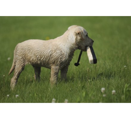 Apportable noir et blanc en canva 20 cm pour chiot