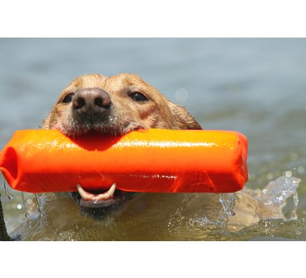 Apportable orange en canva 26 cm pour chien 