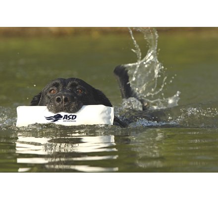 Apportable en canva blanc 20 cm pour chiot 