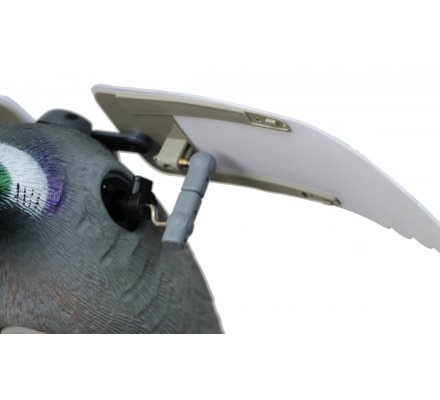Appelant pigeon à ailes battantes HD électrique LUCKY DUCK