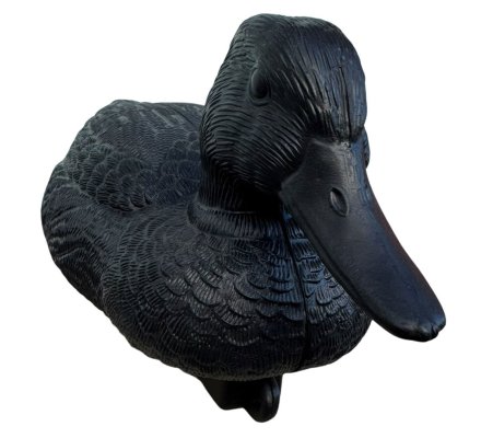 Appelant canard colvert moussé noir