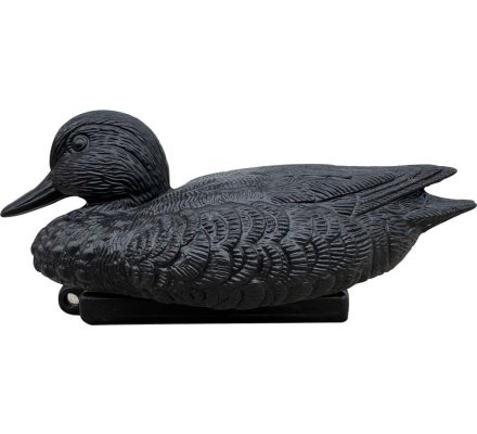 Appelant sarcelle moussée noire