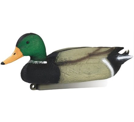 Appelant canard colvert mâle