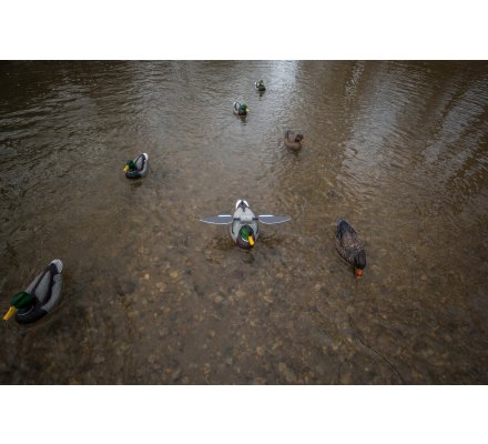 Appelant colvert flottant à ailes tournantes électriques Lucky Duck