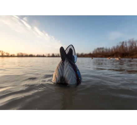 Appelant colvert flottant au gagnage Flicker Tail HD Lucky Duck