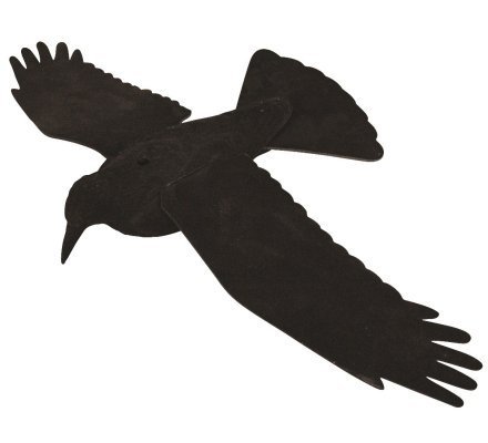 Pack DECOUVERTE 12 appelants corbeaux coquilles floquées, EVA et manège à corbeaux