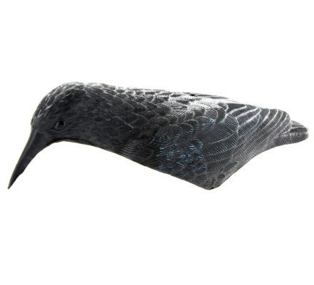 Pack DEBUTANT 12 appelants corbeaux coquilles et manège à corbeaux