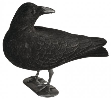 Appelant corbeau guetteur floqué avec pattes