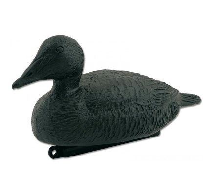 Pack 10 appelants Eiders Noirs