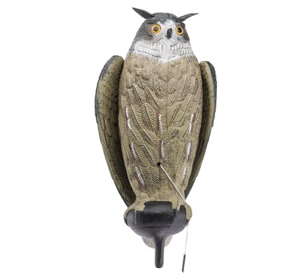 Appelant grand duc à ailes battantes