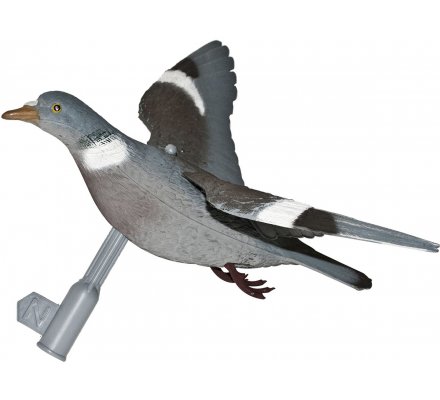 Appelant pigeon à ailes déployées