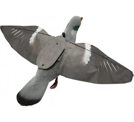 Pack Pigeon First