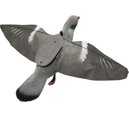 Pack Pigeon First