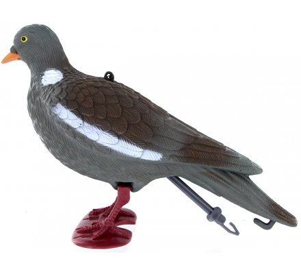 Pack 12 pigeons ramiers actifs avec pattes 