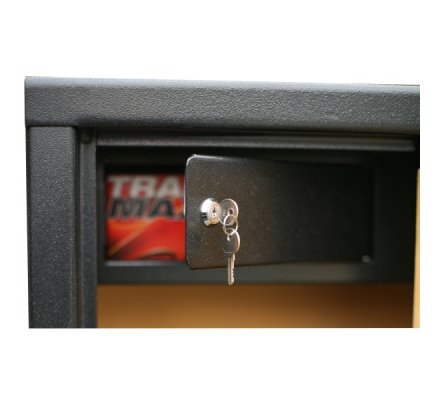 Armoire 16 armes dont 8 avec lunette avec un coffre intérieur INFAC SAFE