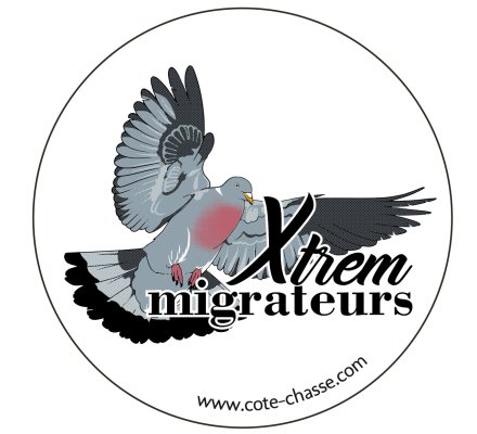 Autocollant pigeon ramier XTREM MIGRATEURS