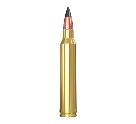 Balles 300WIN MAG Extreme-point 180 grain WINCHESTER