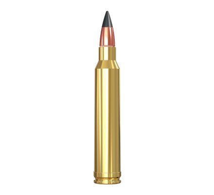 Balles 30-06 Extreme-point 180 grain WINCHESTER