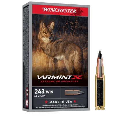 Balles 243WIN Varmint X 65 grain WINCHESTER
