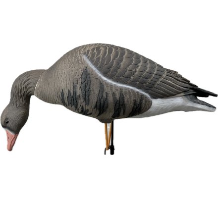 Pack 6 oies rieuses à pattes full HD XTREM MIGRATEURS