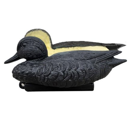 Appelant sarcelle moussée noire