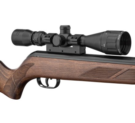 Carabine à air comprimé Hunter 440 AS avec lunette 3-9x40 WR GAMO