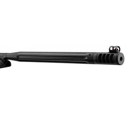 Carabine à air comprimé Whisper Maxxim IGT avec lunette 4x32 WR GAMO
