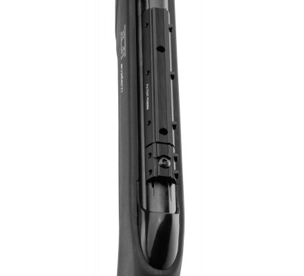 Carabine à air comprimé Whisper Maxxim IGT avec lunette 4x32 WR GAMO