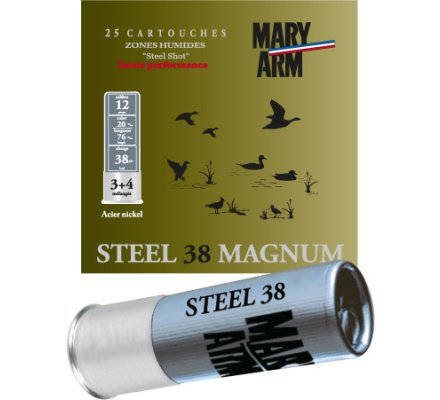 Cartouche Steel 38 cal 12 Mary Arm