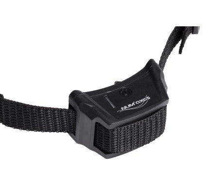 Clôture électronique et collier Canifugue FUG1032 NUM'AXES