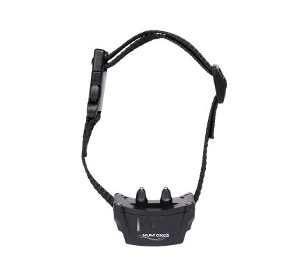 Clôture électronique et collier Canifugue FUG1032 NUM'AXES