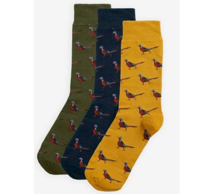 Coffret 3 paires de chaussettes faisans BARBOUR