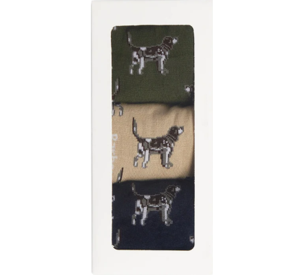 Coffret 3 paires de chaussettes chiens Pointer BARBOUR