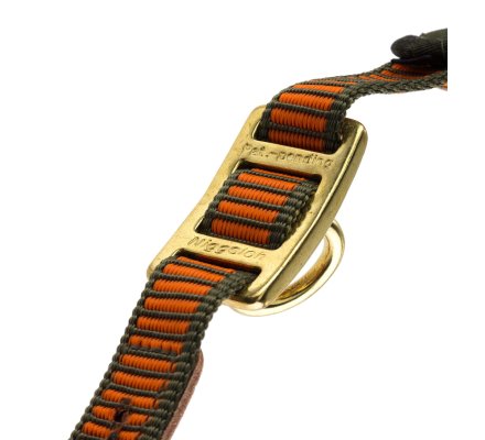 Collier chien de sang orange fluo NIGGELOH