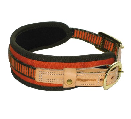 Collier chien de sang orange fluo NIGGELOH