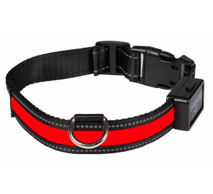 Collier lumineux rechargeable pour chiens EYENIMAL