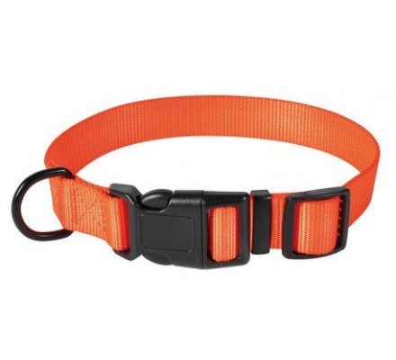 Collier pour chien orange STEPLAND