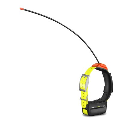 COLLIER DE SUIVI ET DE DRESSAGE GARMIN T™ 5